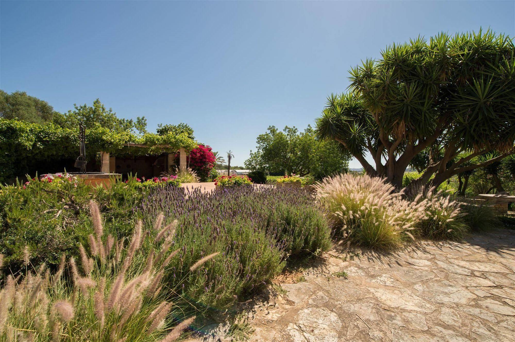 Hotel Rural Can Feliu 波勒瑞斯 外观 照片