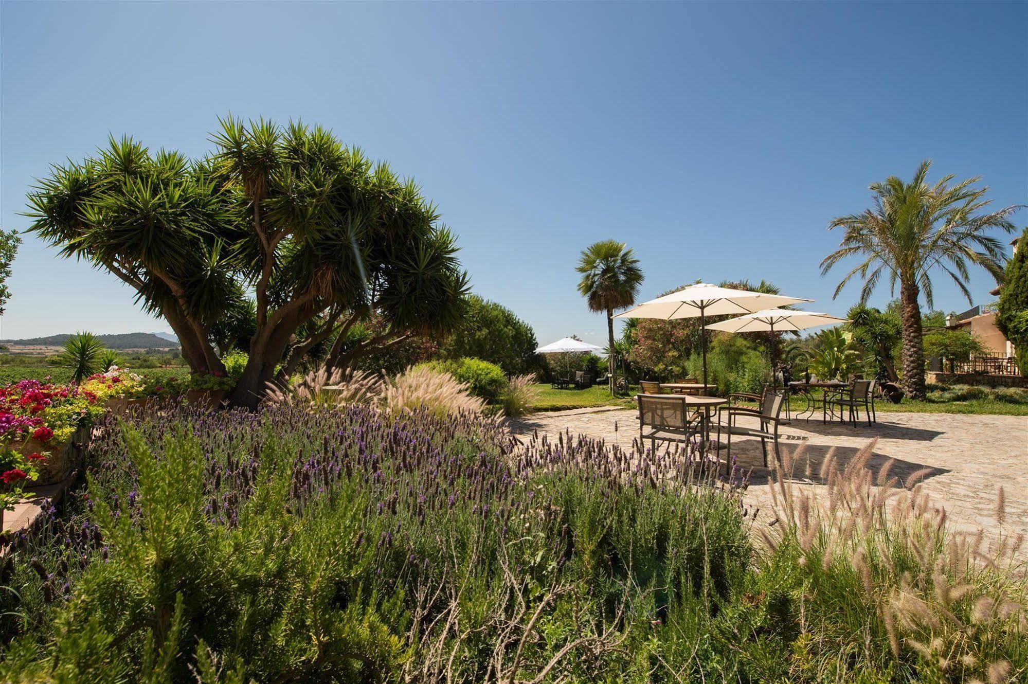 Hotel Rural Can Feliu 波勒瑞斯 外观 照片